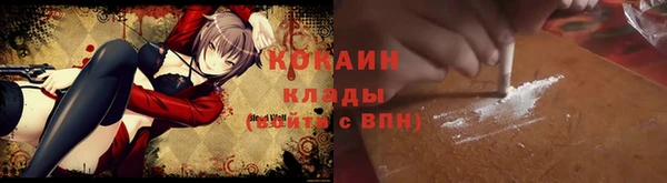 дмт Бородино