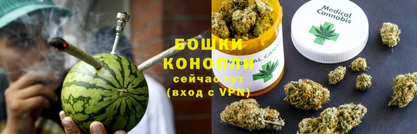 мдпв Богородск