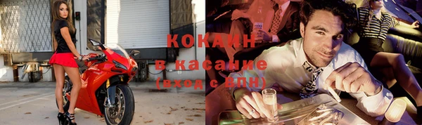мдпв Богородск